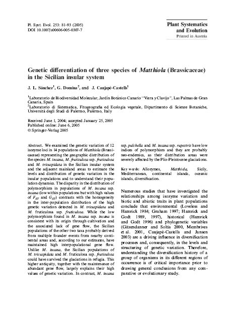 sicilian matthiola copia